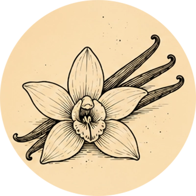 Vanila